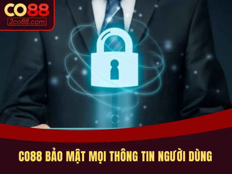 CO88 bảo mật mọi thông tin của người dùng cung cấp