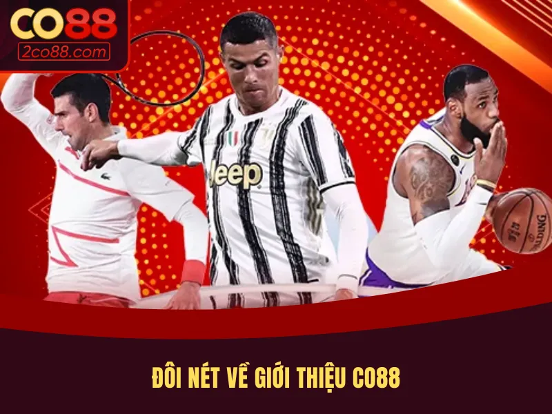 Những thông tin chi tiết về giới thiệu CO88