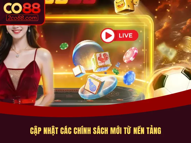Thường xuyên cập nhật các chính sách miễn trừ trách nhiệm mới