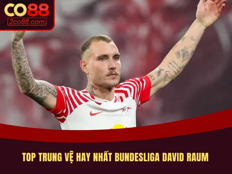 Top trung vệ hay nhất bundesliga David Raum